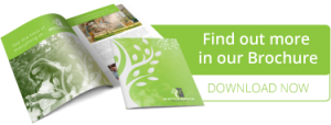 download wattlebrook brochure